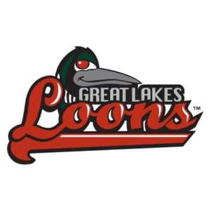 Great Lakes Loons